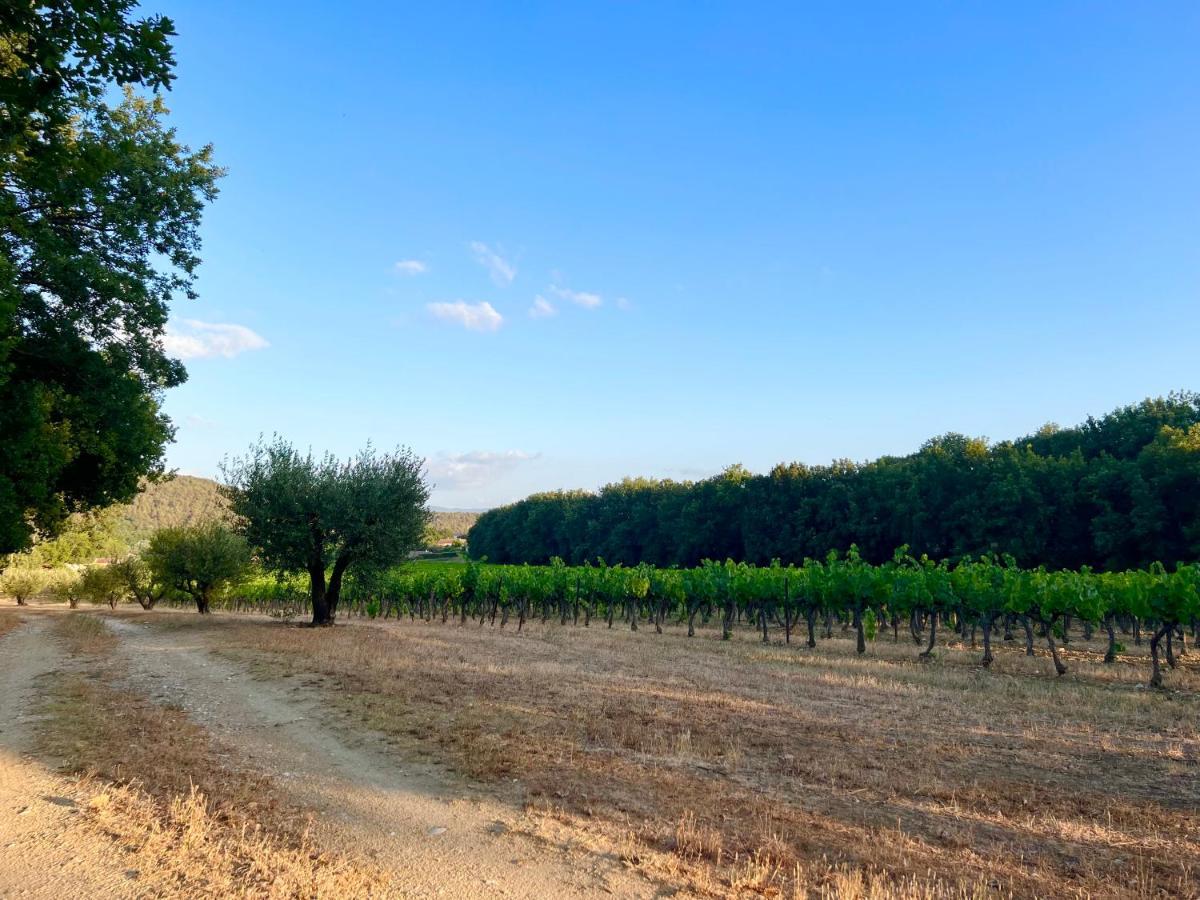 T2 avec terrasse arborée proche LOURMARIN Cadenet Extérieur photo